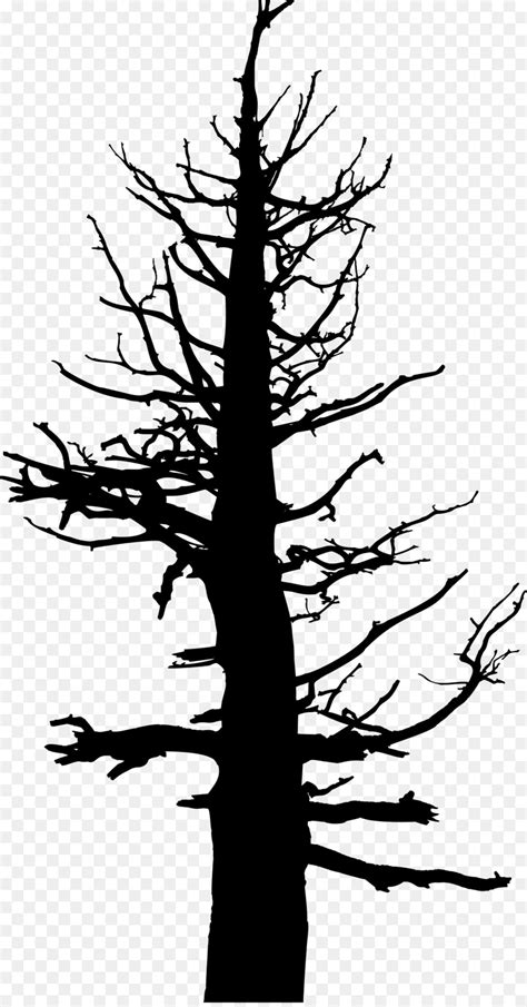 Tree Drawing Silhouette Snag Clip Art Tree Trunk Png Download 1120