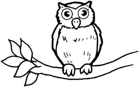 Baby Owls Coloring Sheet To Print