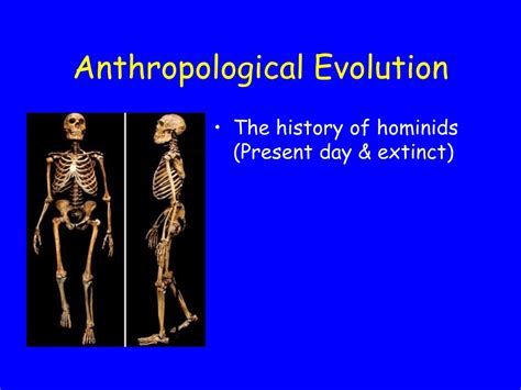 Ppt Anthropology Powerpoint Presentation Free Download Id1726075