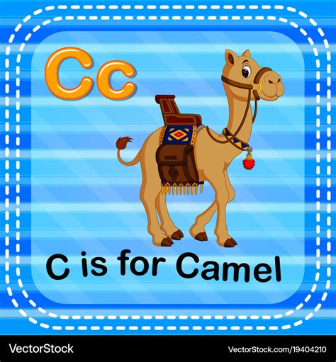 Flashcard Letter C Is For Camel Royalty Free Vector Image