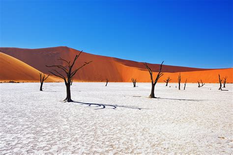 The Sand Dunes Of Sossusvlei Namibia