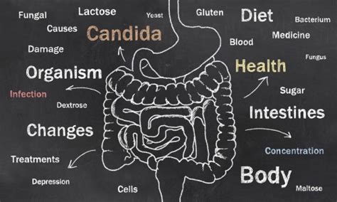 Signs Of Candida Overgrowth And How To Treat It Reliablerxpharmacy Blog Health Blog