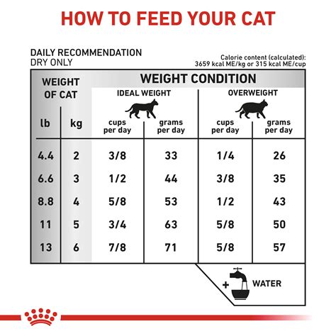 It is important to weigh kitty every 1 to 2 weeks to check. Cat Feeding Guide Wet And Dry - petfinder