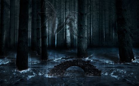 Dark Scary Forest Wallpaper Wallpapersafari