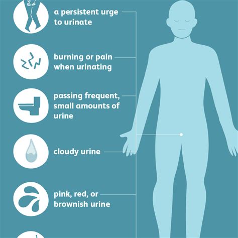 urinary tract infection uti overview and more