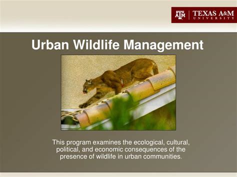 PPT - Urban Wildlife Management PowerPoint Presentation, free download ...