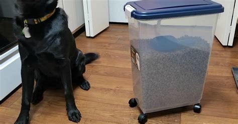 These pet food storage container deals from amazon feature an airtight seal for freshness, four wheels for easy mobility, and more! Large Airtight Pet Food Storage Containers Under $20 at Amazon