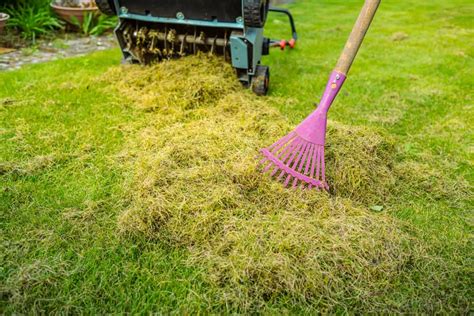 Best Tips To Care For The Lawn In Winter