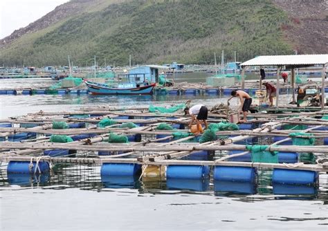 Hoàn Thiện Cơ Chế Phát Triển Bền Vững Kinh Tế Biển