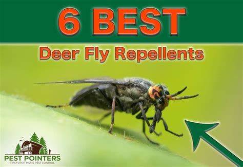 Deer Fly Repellent For Humans Pest Phobia