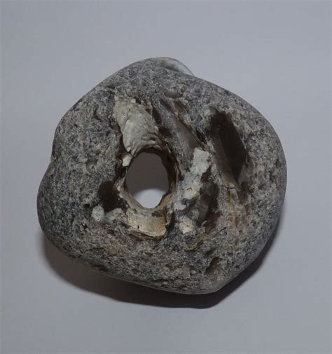 Large Hag Stone Paganwiccanwishfairyodinwitchesholey Stone 169g