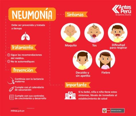 Neumonía Conoce Los Síntomas Tratamiento Y Cómo Prevenirla Noticias
