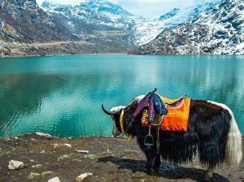 Explore The Beautiful Places Of Sikkim This Summer 2022 Guide The
