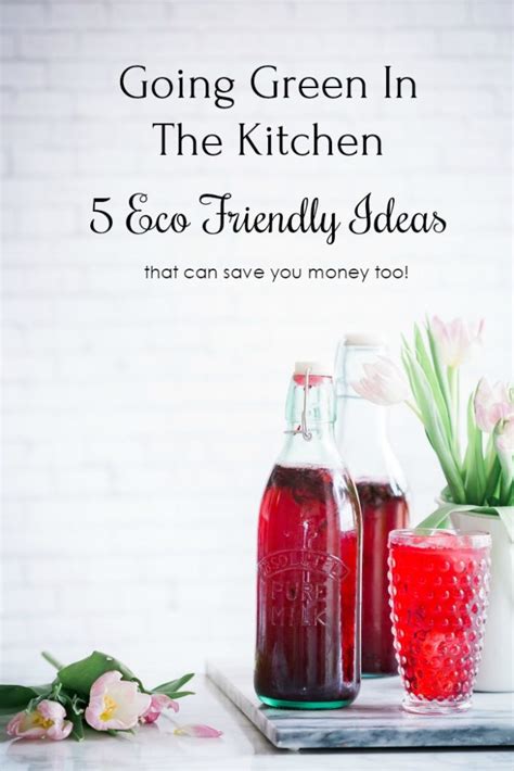 Going Green In The Kitchen 5 Eco Friendly Ideas That Save Money Too