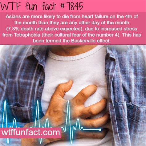 Wtf Facts Page 382 Of 1304 Funny Interesting And Weird Facts