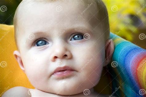 Baby On Swing Stock Image Image Of Little Childhood 7698047