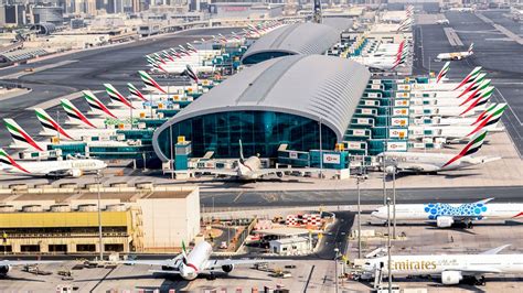 Coronavirus Sniffing Dogs Deployed At Dubai Airport With 91 Percent