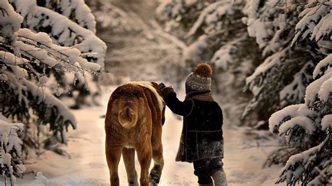 Children Dog Snow Animals Wallpapers Hd Desktop And