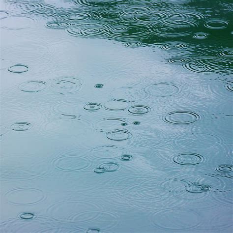 Rain Drops And Water Ripples Photograph By Arctic Images Pixels