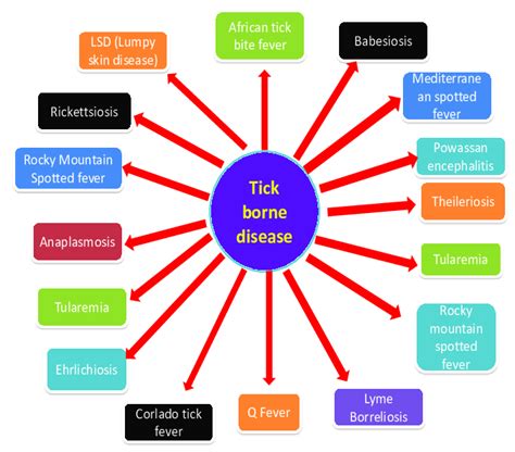 Various Tick Borne Diseases Download Scientific Diagram