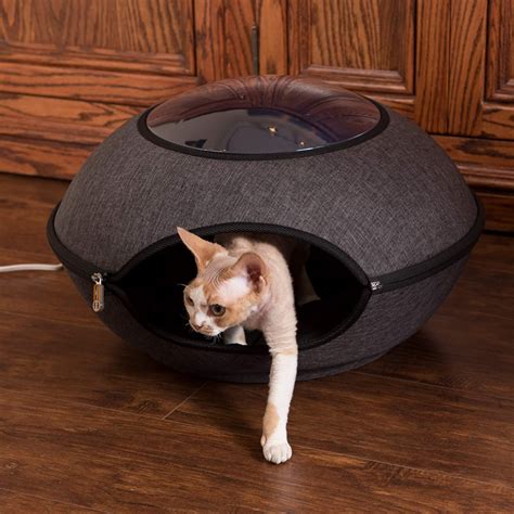 The Best Heated Cat Bed In Market Now