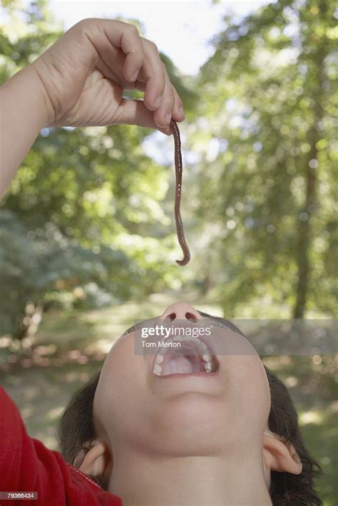 Young Boy Outdoors Eating An Earthworm High Res Stock Photo Getty Images