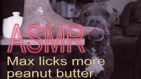 Max Licks More Peanut Butter Asmr Dog Licking No Talking Youtube