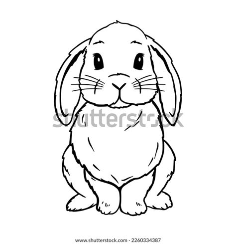 Cute Lop Rabbit Line Art Bunny Stock Vector Royalty Free 2260334387