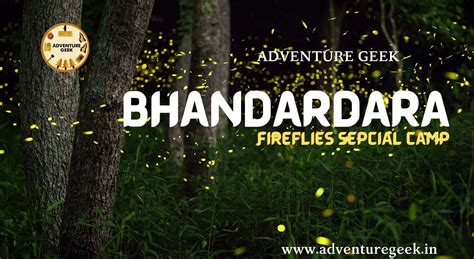 Bhandardara Fireflies Camping 2022 By Bus