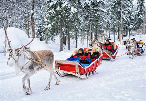 Rovaniemi Reindeer Safari