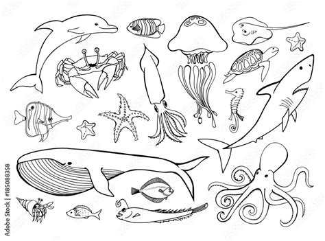 Sea Animals Line Icons Hand Drawn Set Doodle Ocean Life Collection For