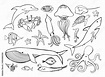 Sea animals line icons hand drawn set. Doodle ocean life collection for ...