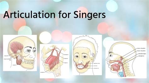 Articulation For Singers