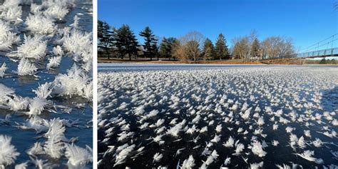 Hoar Frost On Illinois Lake Showcases Winters Beauty Fox Weather