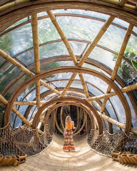 2018s Craziest Treehouses In Treetops Around The World Bamboo House