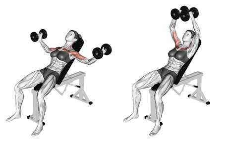 6 Incline Dumbbell Press Alternatives With Pictures Inspire Us