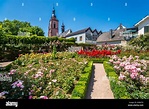 Castle and the city of Eltville am Rhein, Germany Stock Photo - Alamy