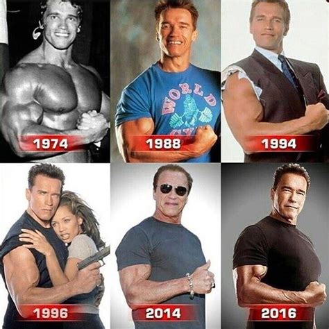 Arnolds Evolution Personaggi Famosi Attori Hollywood