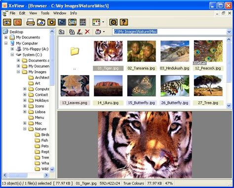 Xnview Full Version Xnview 2492 Complete Portable Free Download