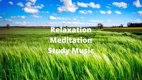 Relaxing Meditation Music For Stress Relief Relaxing Music Studying