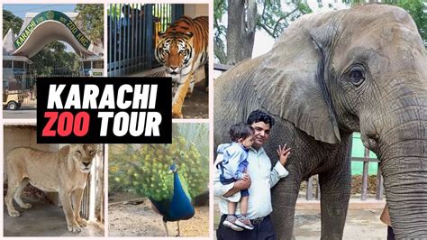 Karachi Zoo Walking Tour In 2022 Karachi Zoo Timing Garden Karachi