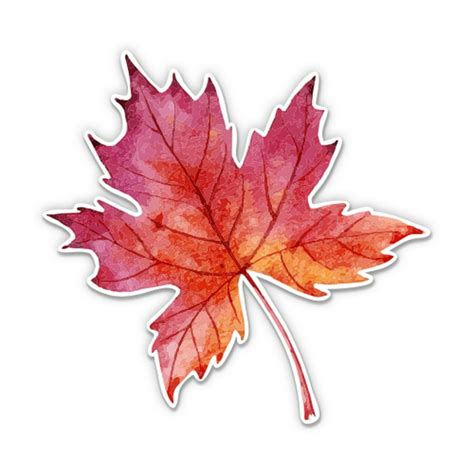 Watercolor Maple Leaf Fall 3 Vinyl Sticker For Car Laptop I Pad