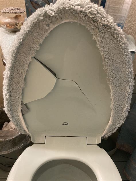 Not Only Is This Toilet Seat Broken Its Also Carpet Covered R