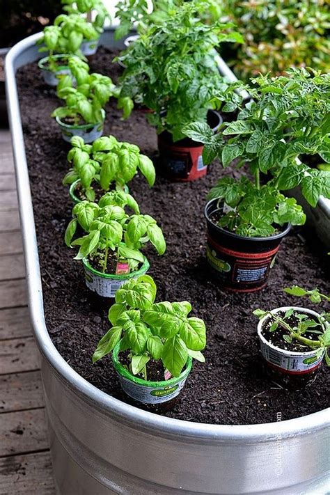 17 Best Container Vegetables Garden For Beginning Gardening