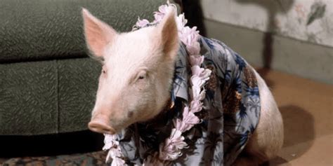 The 10 Best Green Acres Characters Of All Time