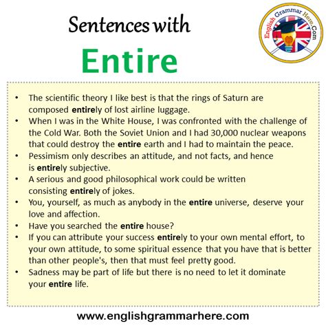 Sentences With Entire Entire In A Sentence In English Sentences For