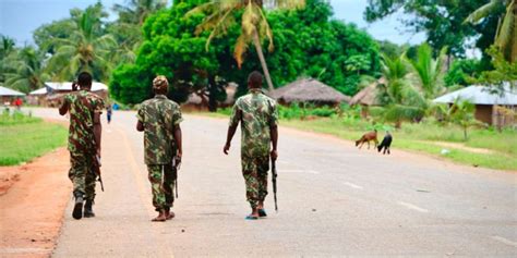 Mozambique Security Forces Kill 16 Insurgents The Citizen