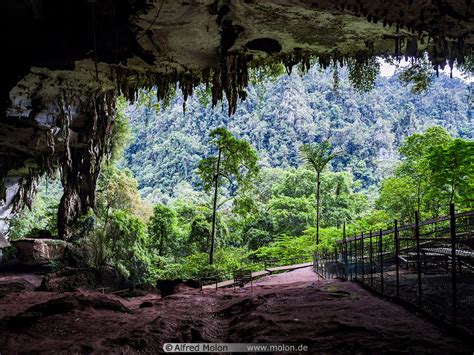 Photo Of Niah Cave Niah National Park Sarawak Malaysia