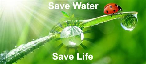 Save water and save life essay