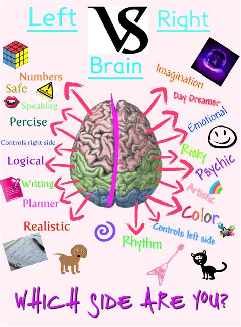 The ability to pay attention to details, fine motor movement skills, and the ability to convert sounds to language and translate their meaning. Left Brain vs. Right Brain: Let's Get Ready to RUMMBBLLEE ...